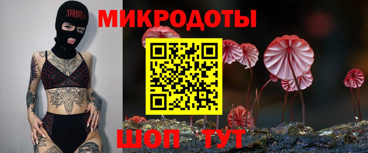 Псилоцибиновые грибы мухоморы Боровичи